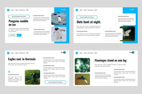 Kicaw - Bird Animal and Pets Powerpoint Template