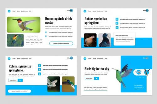 Kicaw - Bird Animal and Pets Powerpoint Template