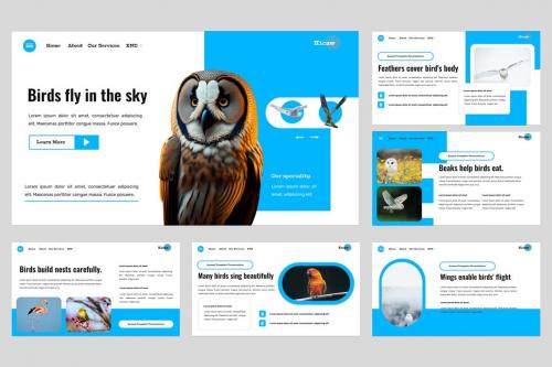 Kicaw - Bird Animal and Pets Powerpoint Template