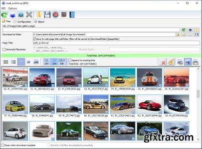 Bulk Image Downloader 6.36 Multilingual