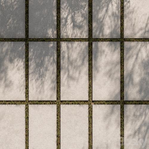 Concrete Slab with Grass - Paving 03