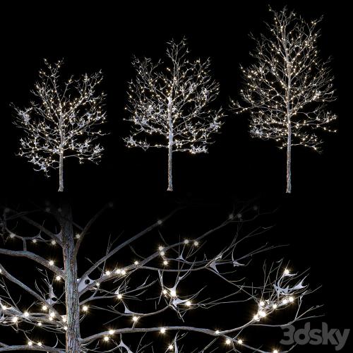 Trees in the snow with a luminous garland