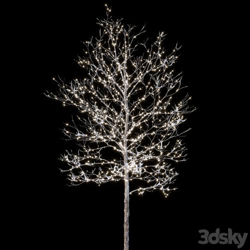 Trees in the snow with a luminous garland