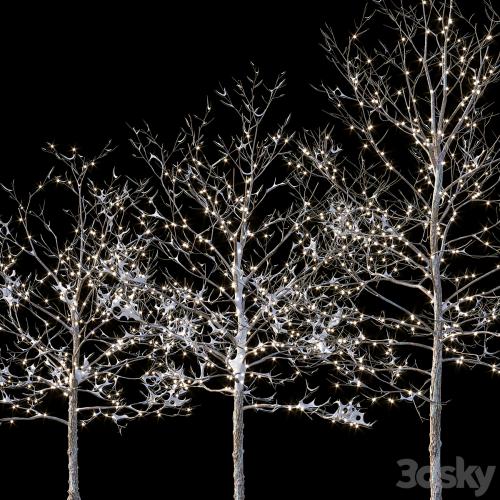 Trees in the snow with a luminous garland