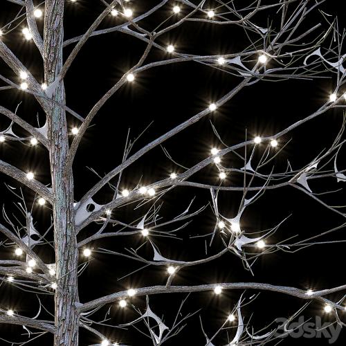 Trees in the snow with a luminous garland