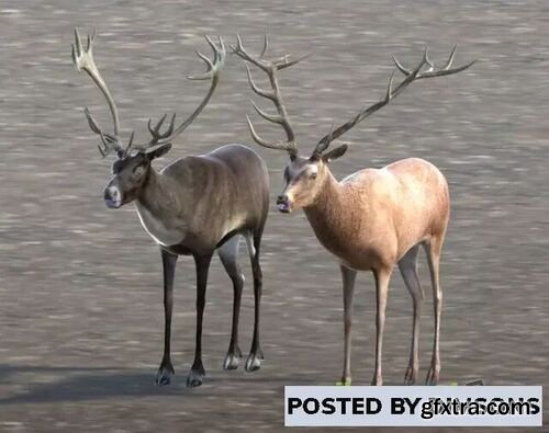 Deer, Caribou and Moose v1.0.3.1