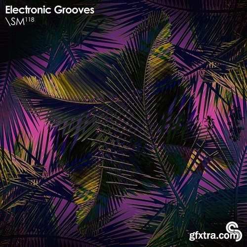 Sample Magic Electronic Grooves