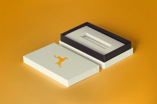 Deeezy - Pendrive Product Box Mockups