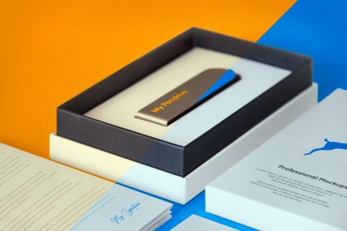 Deeezy - Pendrive Product Box Mockups