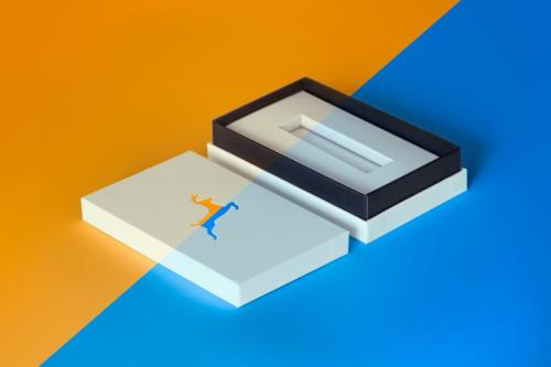 Deeezy - Pendrive Product Box Mockups