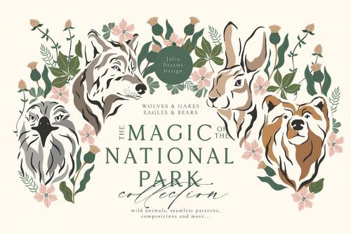 Magic of the National Park Forest Vector Elements