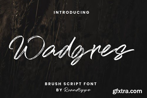 Wadgres - Brush Script Font X6QPMW8