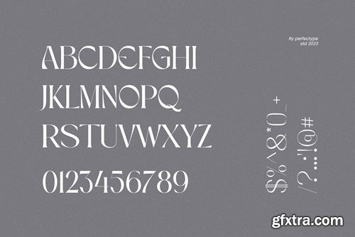 Movhe Elegant Serif Font Typeface BHMVP5C