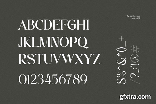 Morins Elegant Serif Font Typeface G9VJ8T4