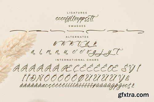 Primrose Essentials Font Duo K7V33SD