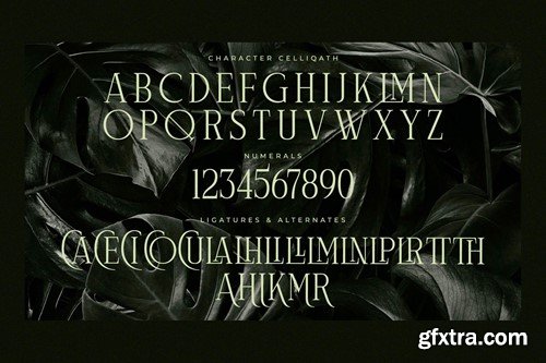 Celliqath Modern Serif Display Font TMBHKZZ