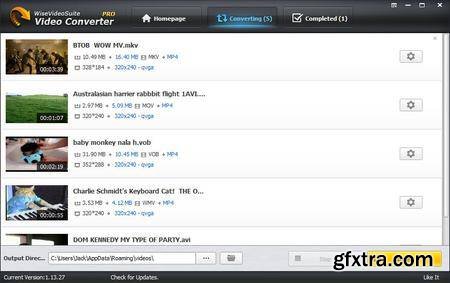 Wise Video Converter Pro 3.0.3.268 Multilingual