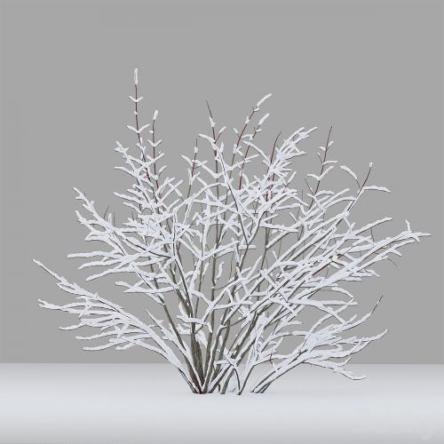 Winter bushes # 1