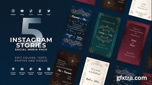 Videohive Wedding Invitation Instagram Vertical Stories 49825058