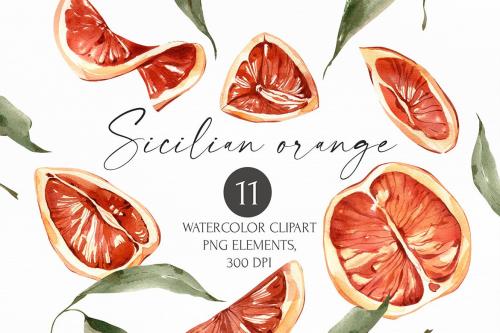 Watercolor Sicilian orange Clipart