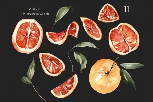 Watercolor Sicilian orange Clipart