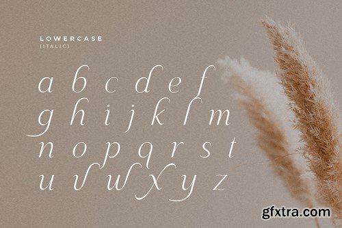 Maguare - Modern Stylish Sans Serif Font B5PQ6TG