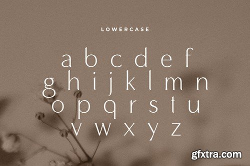 Maguare - Modern Stylish Sans Serif Font B5PQ6TG