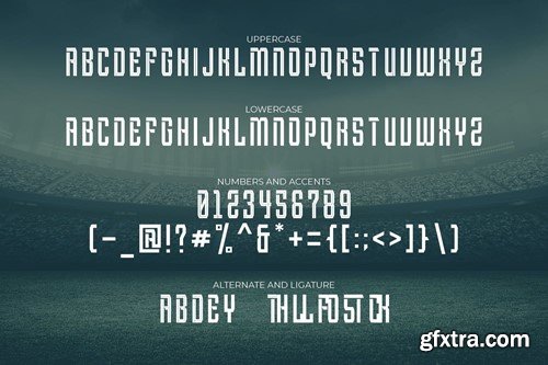 Balegare - Sport Font WE7CUNT