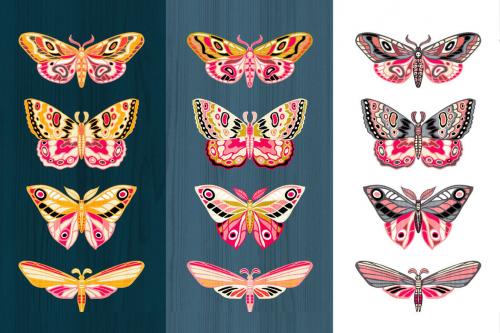 Deeezy - Night Moths, Butterflies Vector Set