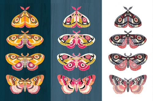 Deeezy - Night Moths, Butterflies Vector Set