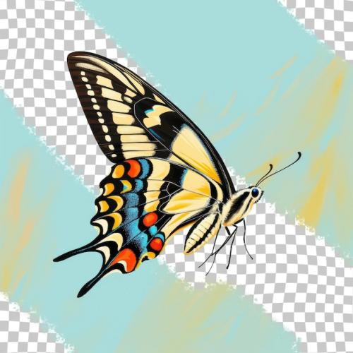 A Stunning Butterfly Flies Alone Against A Transparent Background Fivebar Swordtail