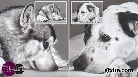 How To Draw Dogs - Monochrome Effect - Just 4 Pastel Pencils