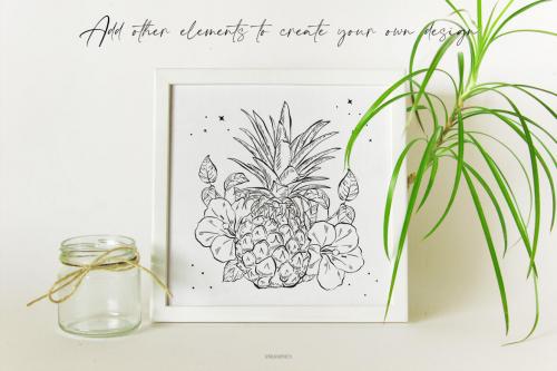 Deeezy - Hand Drawn Fruits and Veggies Vector Illustrations