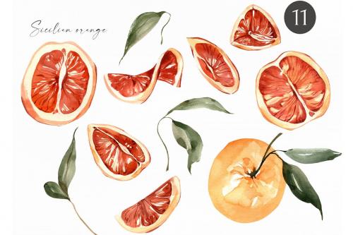 Watercolor Sicilian orange Clipart