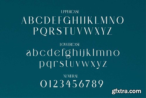 Hastera Modern Ligature Serif NY68FA3