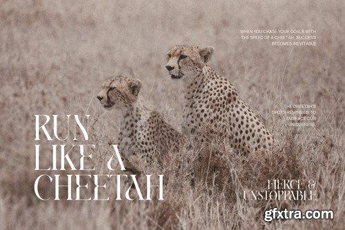 Kang Minter Elegant Serif Font Typeface KHXNPN8