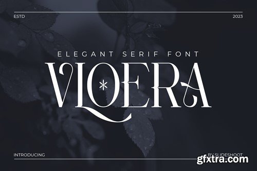 Vloera Elegant Serif Font JL5QHCL