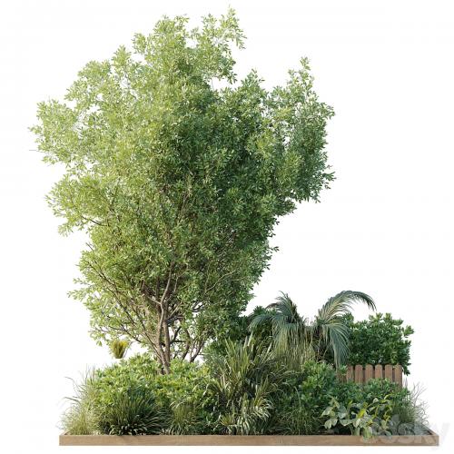 Garden plants box - Outdoor plants set 183