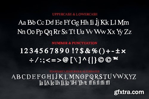 Le Mano - Unique Serif Display Font AKXZQ32