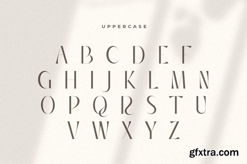 Ralling - Unique Luxury Modern Display Font 3GQ2ZUH