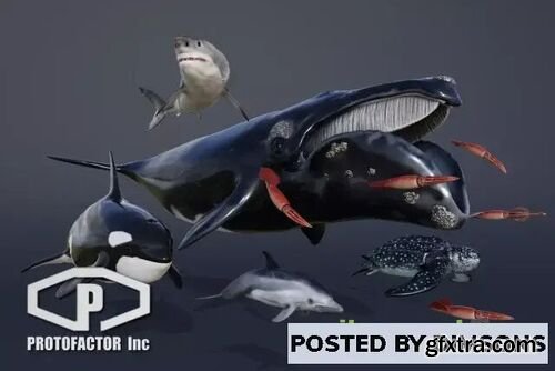 OCEAN ANIMALS PACK VOL 1 v1.0