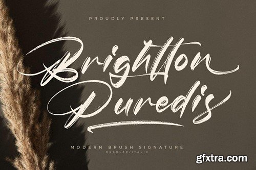 Brightton Puredis Modern Brush Signature Font JUMY8B3