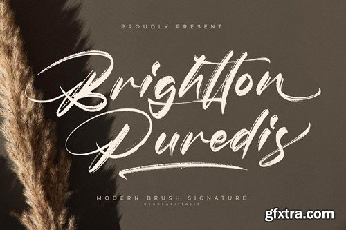 Brightton Puredis Modern Brush Signature Font JUMY8B3