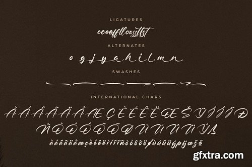 Brightton Puredis Modern Brush Signature Font JUMY8B3