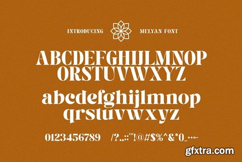 Melyan - Classy & Stylish Serif LDJPMZG