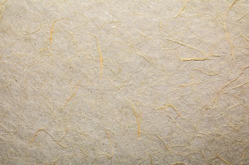 Mulberry Paper Texture