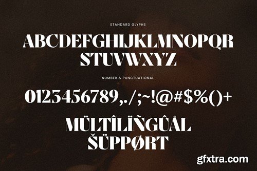 Sannca Elegant Serif Font Typeface 54H739U