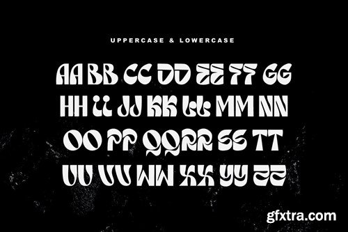 Roile Arnid Modern Display Font 86VH5NH