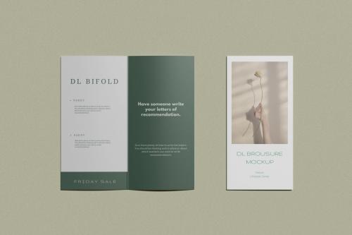 Deeezy - DL Bifold Brochure Mockups