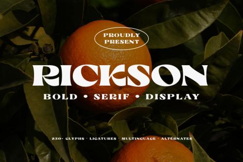 Deeezy - Rickson - Bold Serif